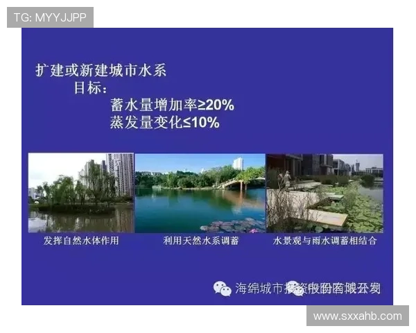 城市赛分析：TES在技术层面的精彩表现与未来展望