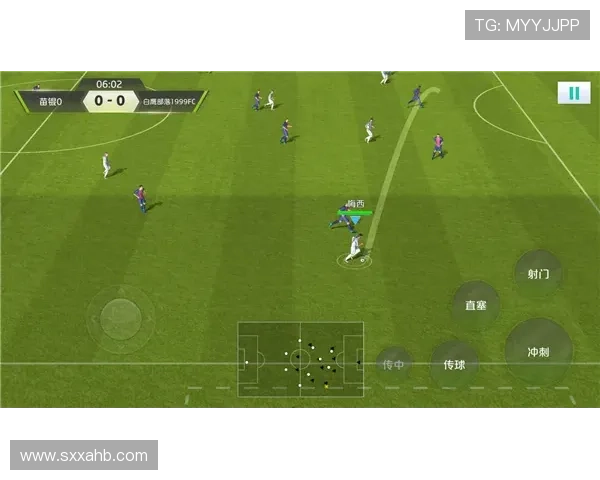 广州排球队快攻革新之路：战术创新与团队协作的完美结合