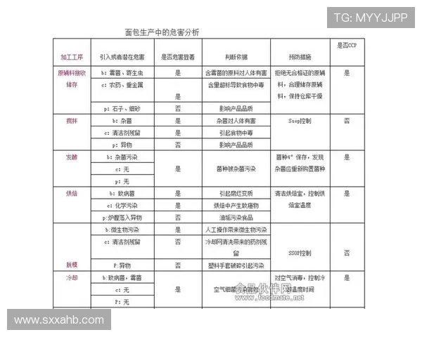 广州排球队的战术解析与控制体系探讨