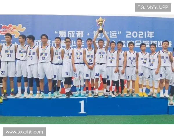 成都篮球队技术表现深度分析与数据解读探讨