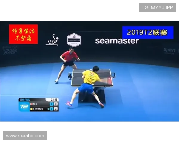 成都羽毛球队在冠军赛中的技术表现分析与点评