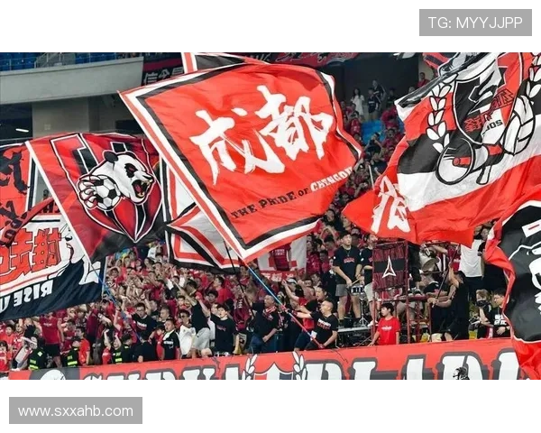 成都飞盘队实力引发热议球迷与专家对力量的不同看法 成都飞盘队实力引发热议球迷与专家对力量的不同看法